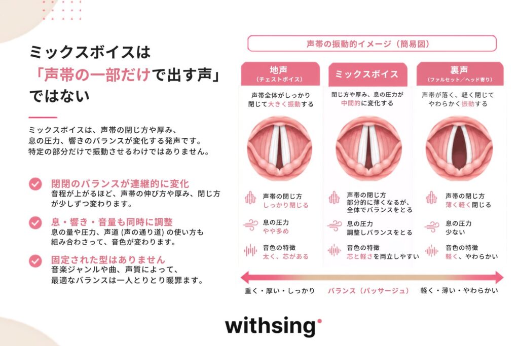 ミックスボイスは「声帯の一部だけで出す声」ではない